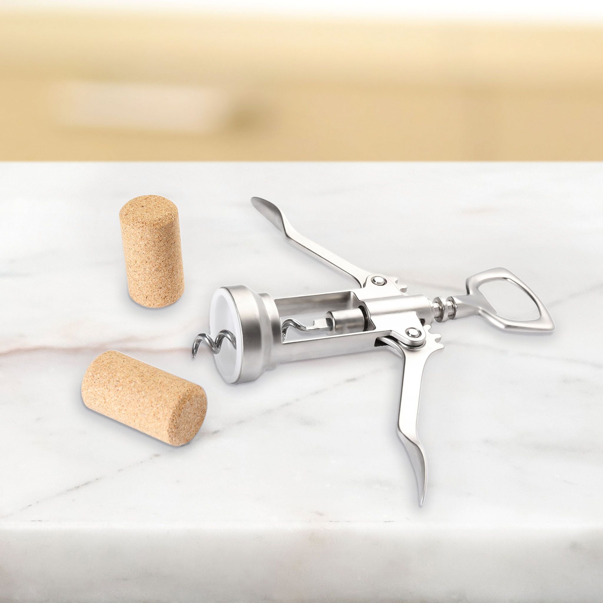 Stainless Steel Corkscrew-0