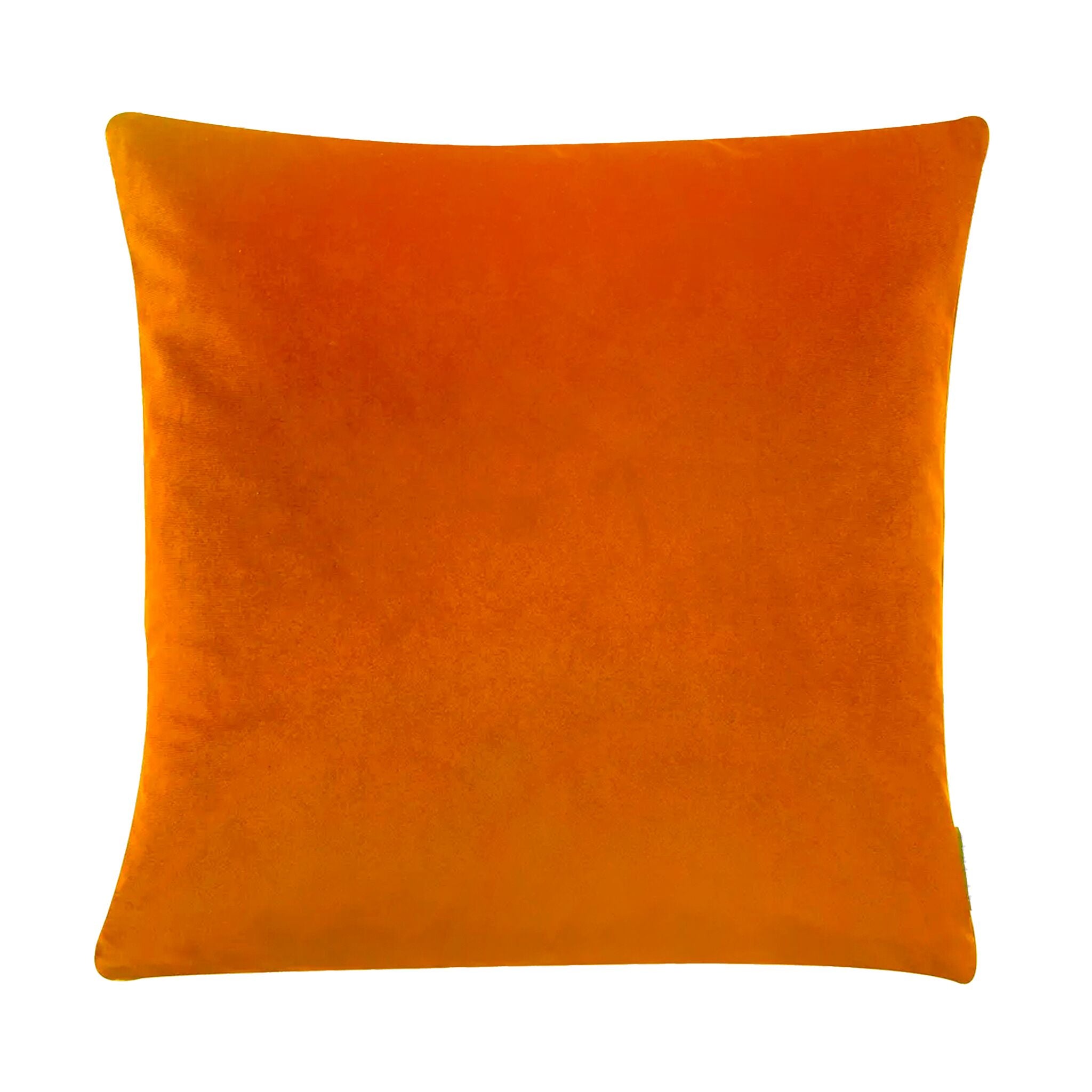 Glamorous Large Velvet Cushion-1