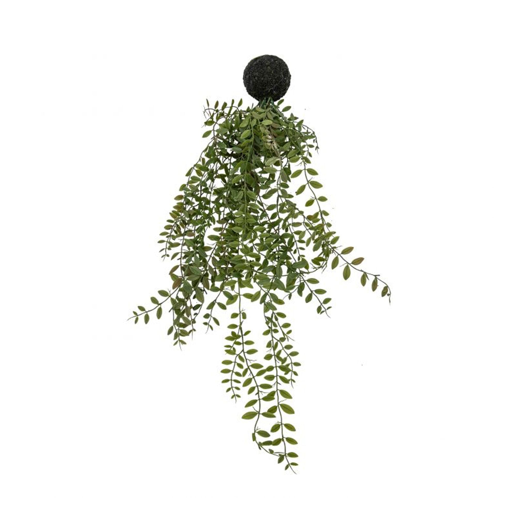 Faux Trailing Fern-1
