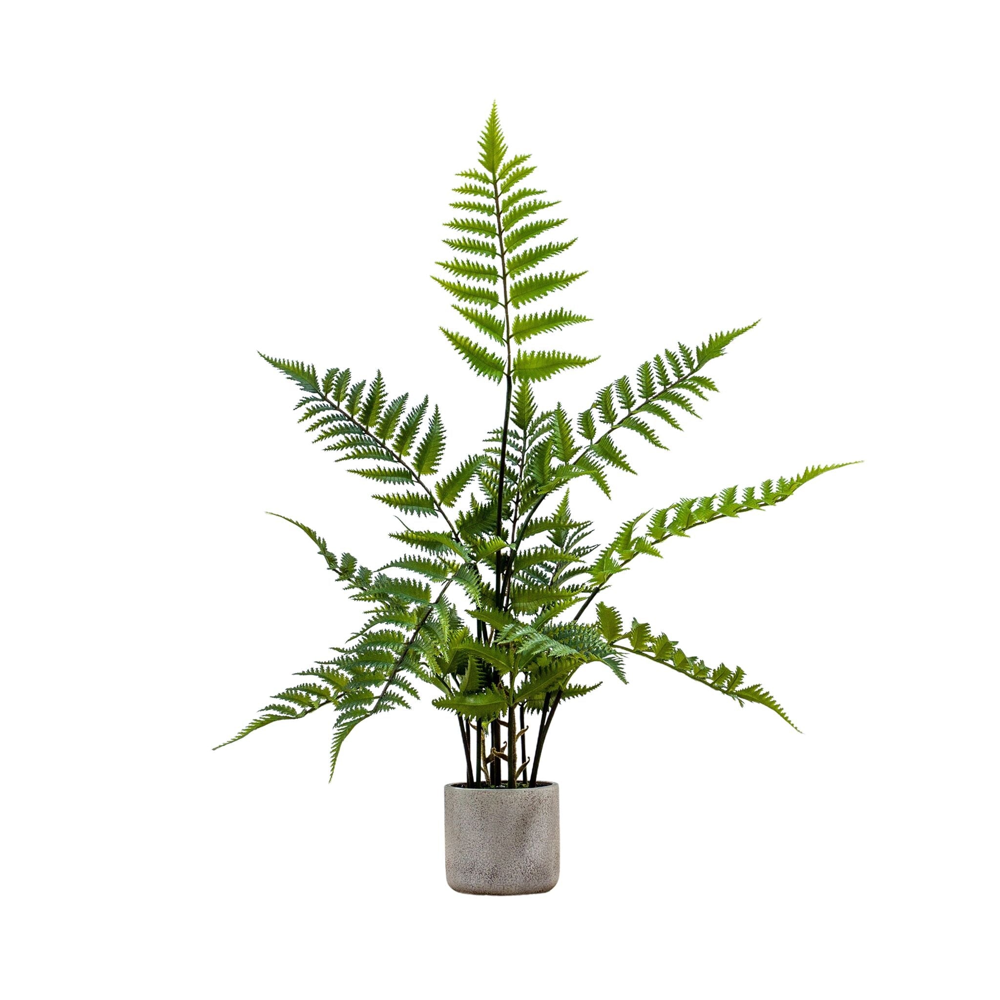 Faux Fern In Cement Pot-1