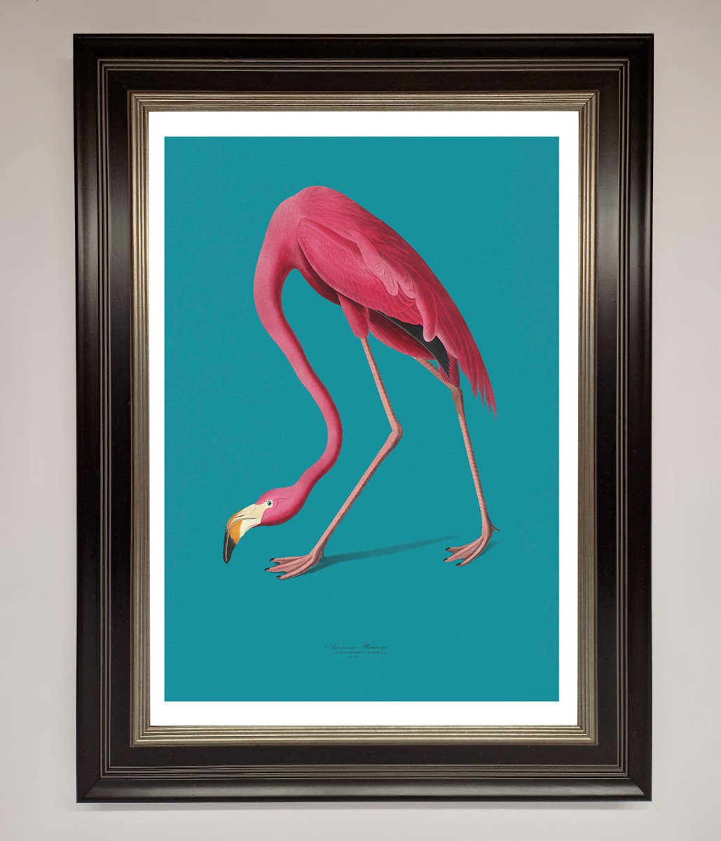 Flamingo Walks Blue Framed Print-8