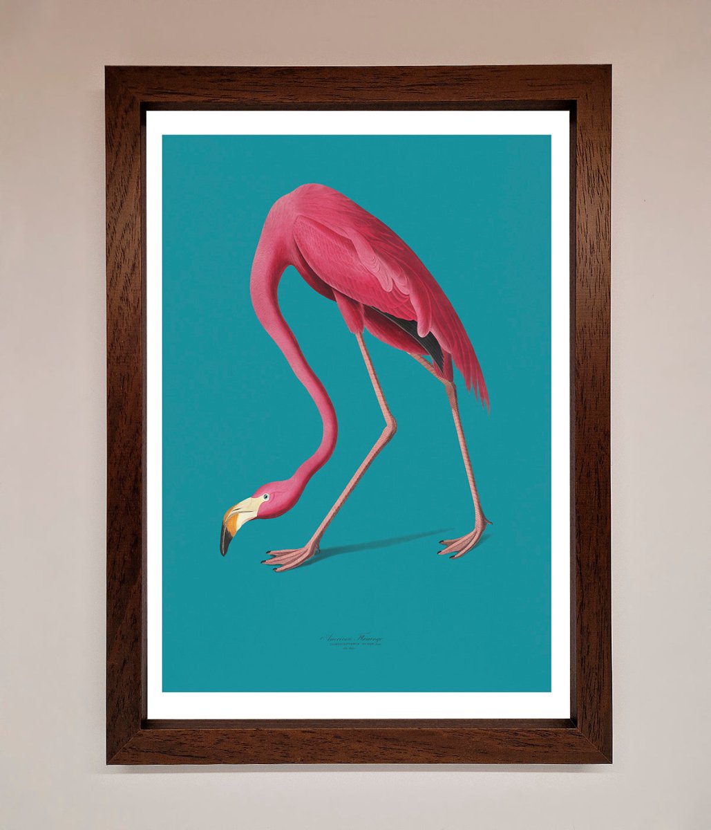 Flamingo Walks Blue Framed Print-9