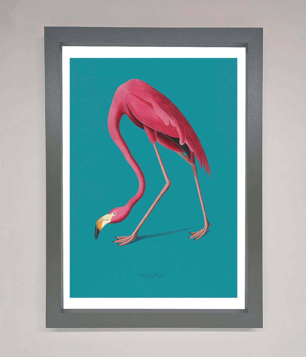 Flamingo Walks Blue Framed Print-4
