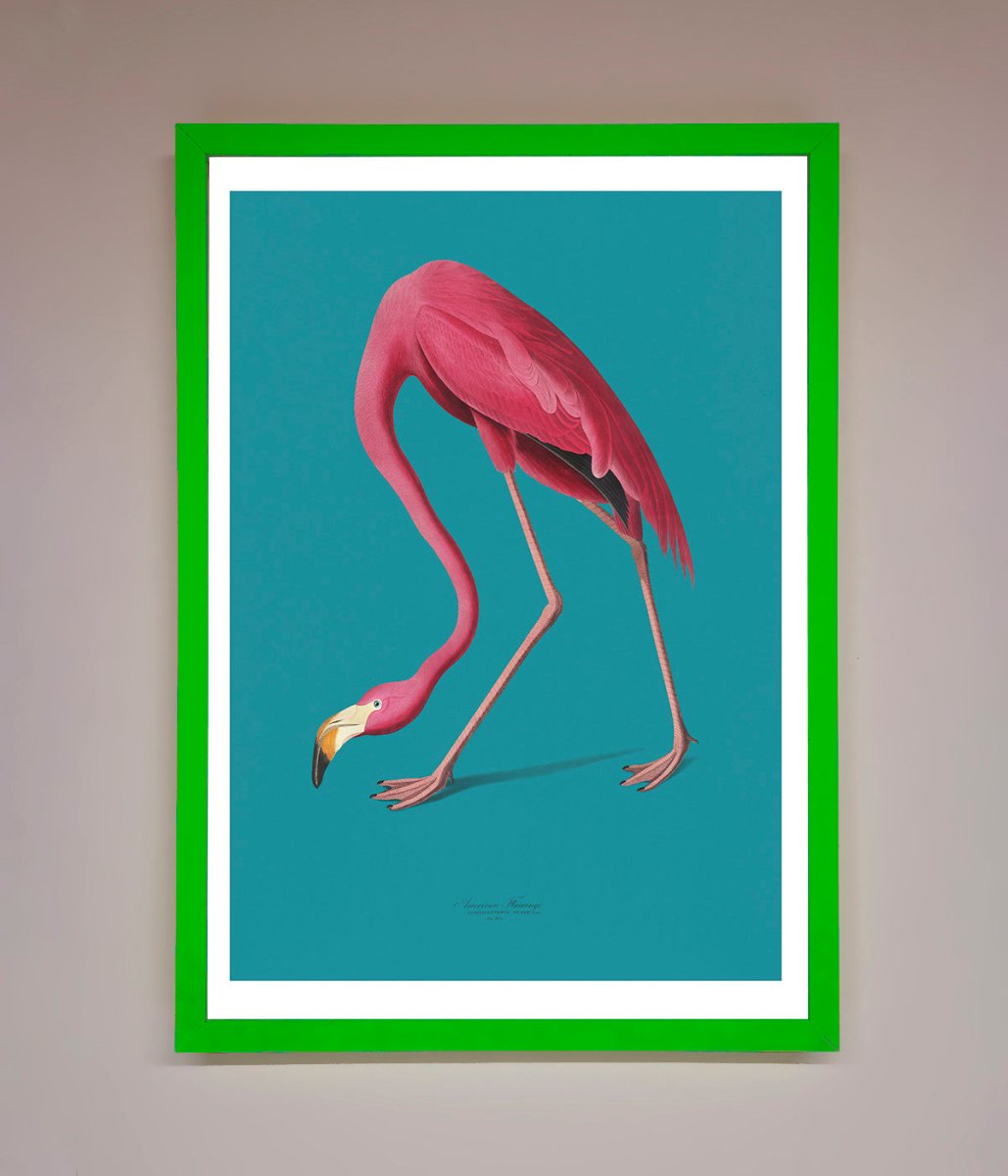 Flamingo Walks Blue Framed Print-11