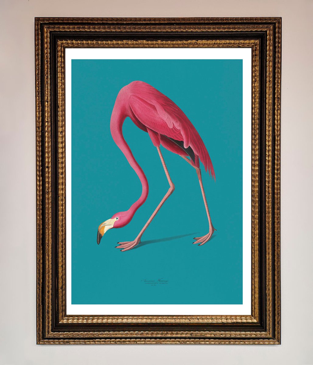 Flamingo Walks Blue Framed Print-18