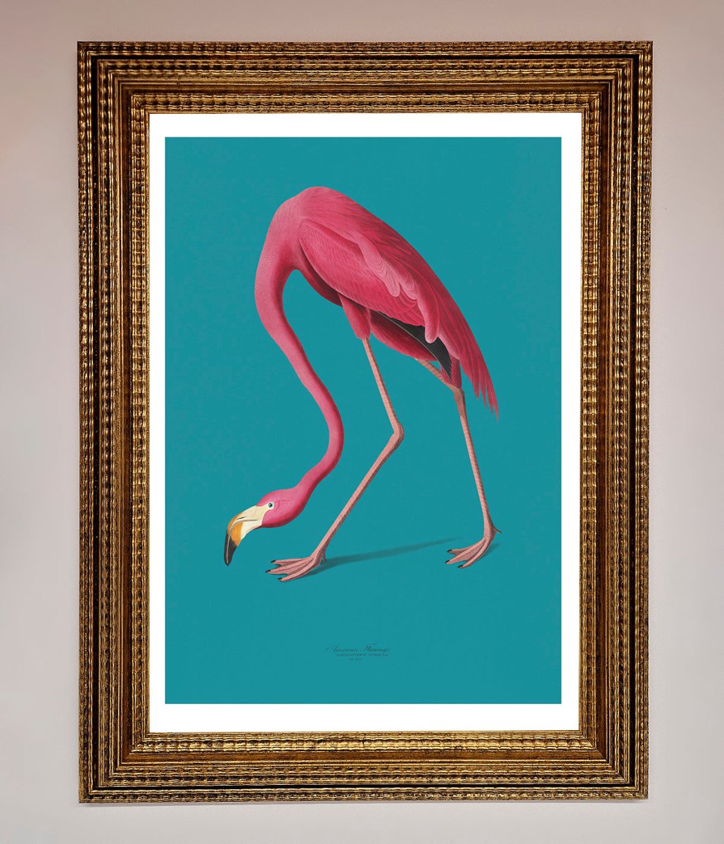 Flamingo Walks Blue Framed Print-15