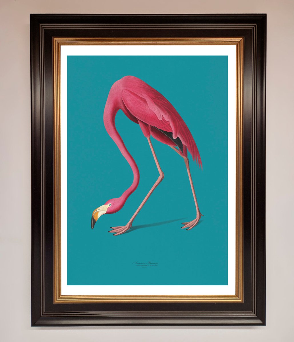 Flamingo Walks Blue Framed Print-0