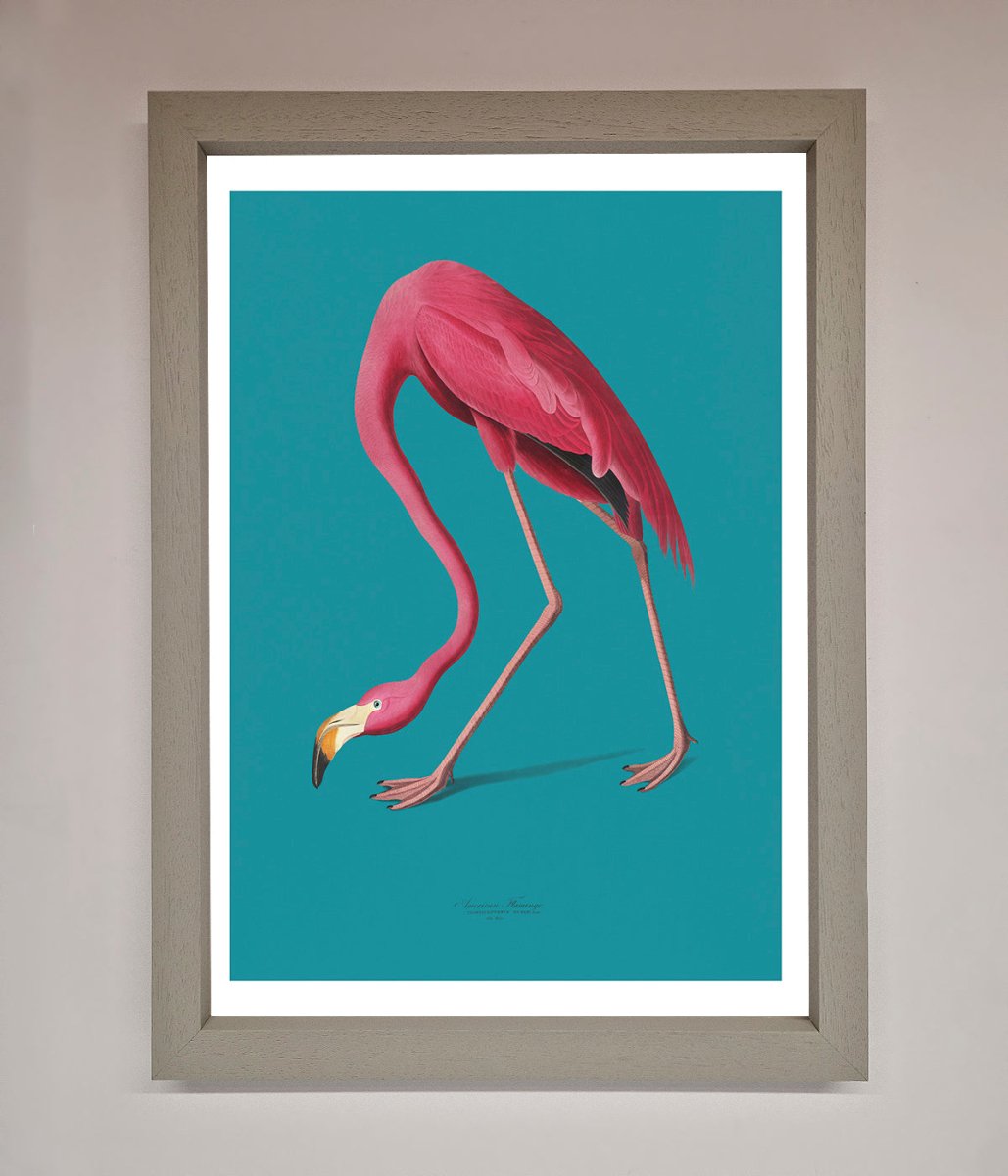Flamingo Walks Blue Framed Print-3