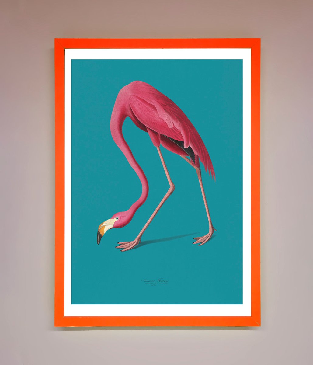 Flamingo Walks Blue Framed Print-10