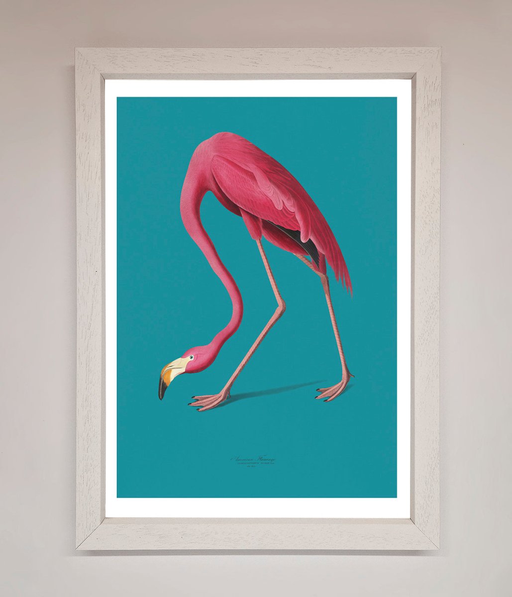 Flamingo Walks Blue Framed Print-2