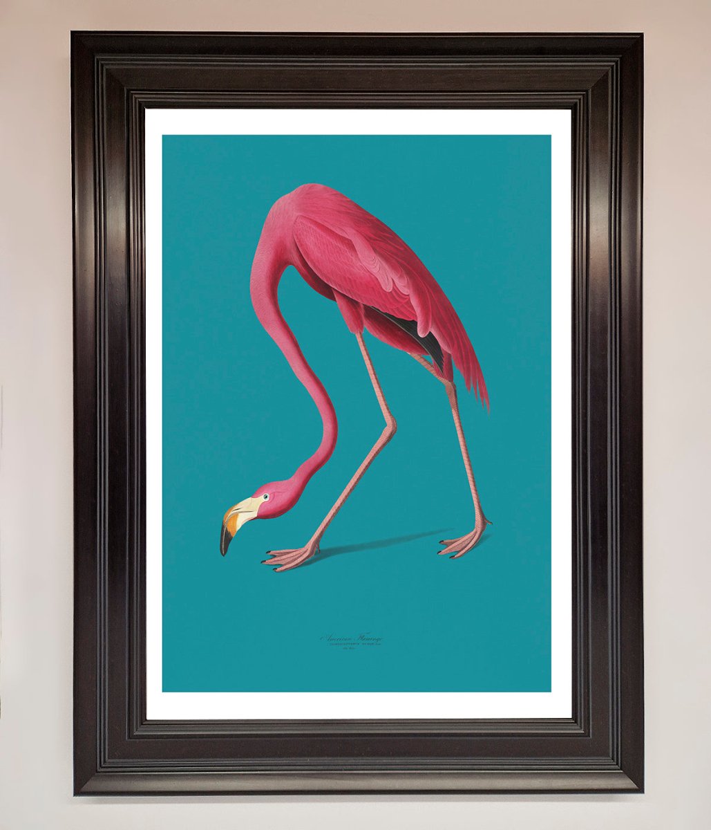 Flamingo Walks Blue Framed Print-6