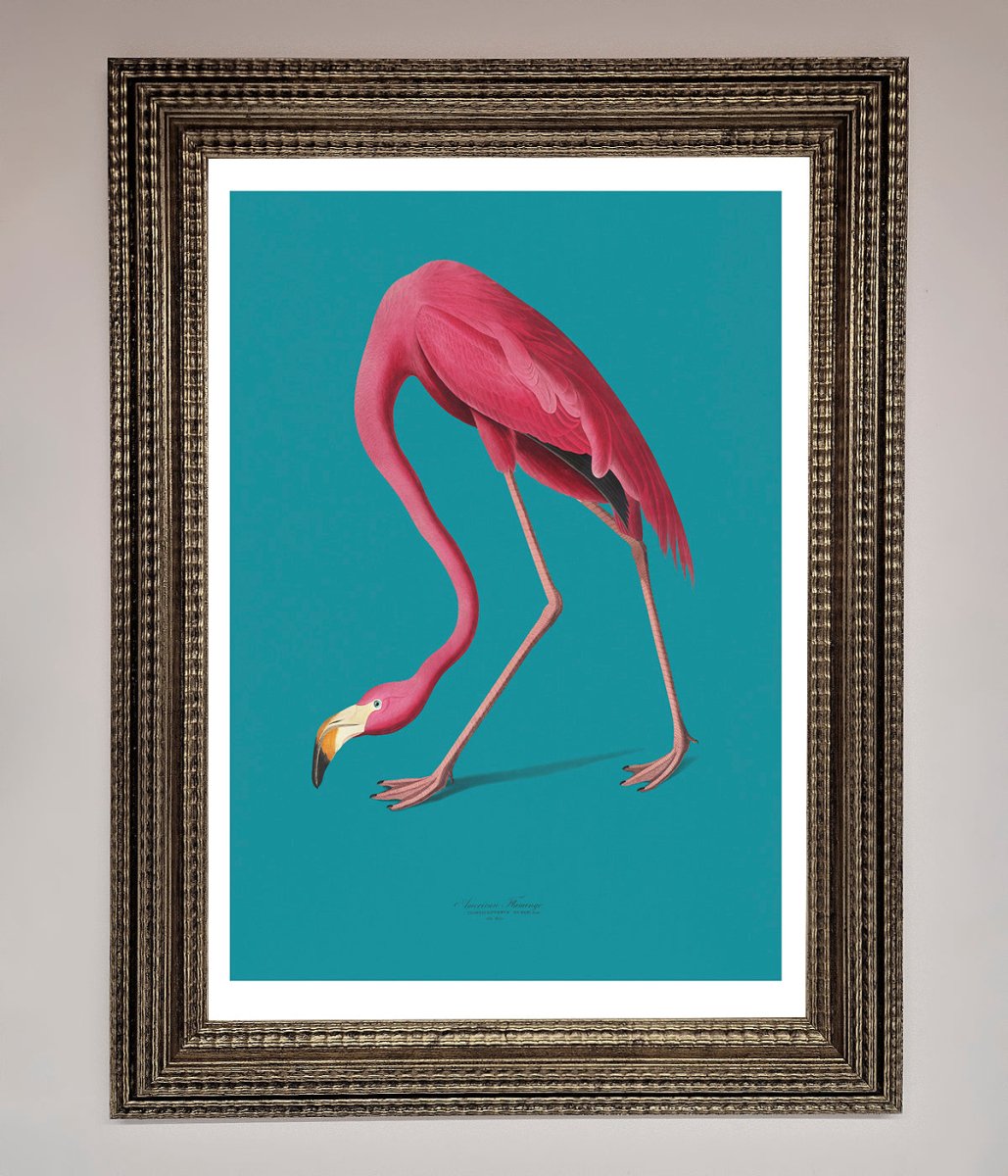 Flamingo Walks Blue Framed Print-16