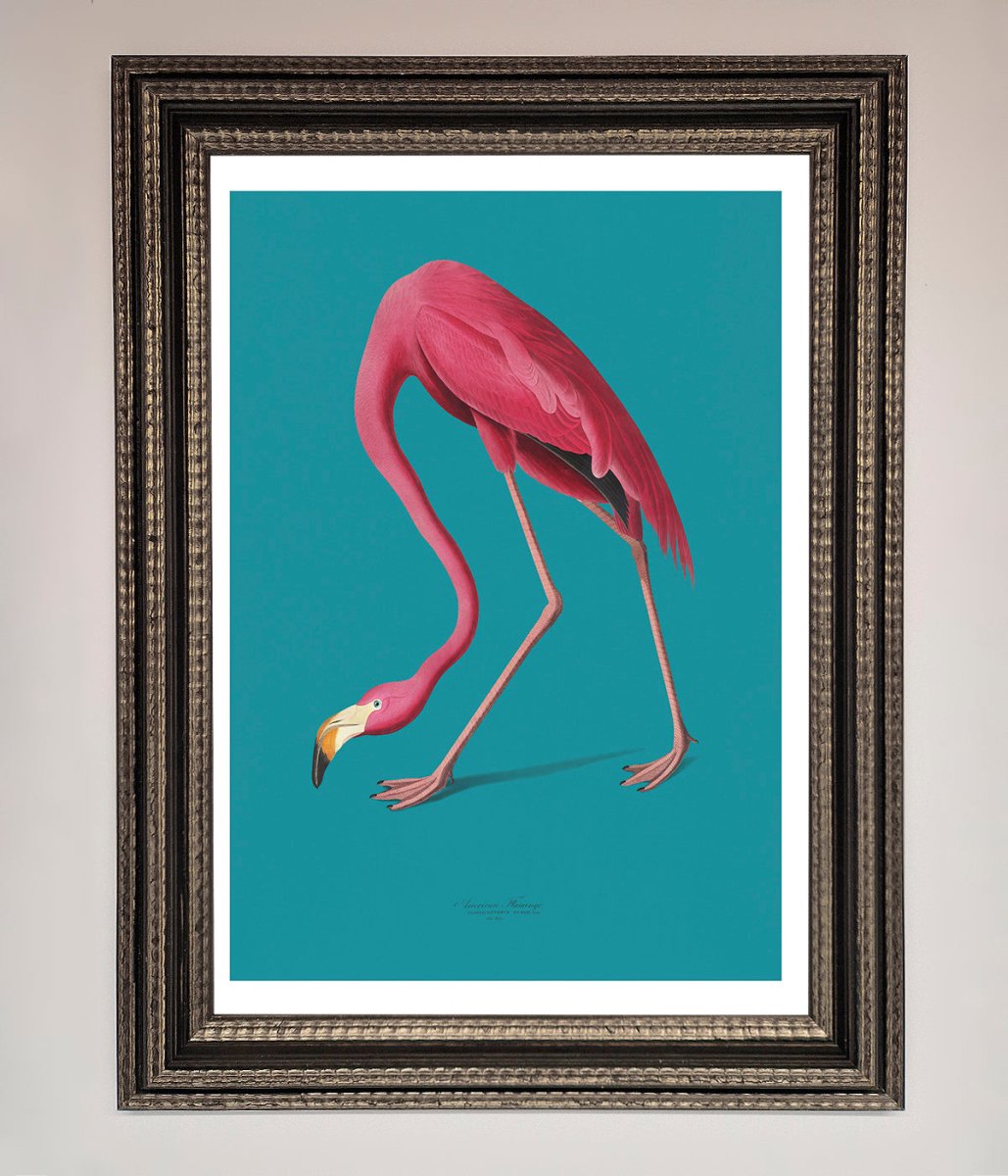Flamingo Walks Blue Framed Print-17