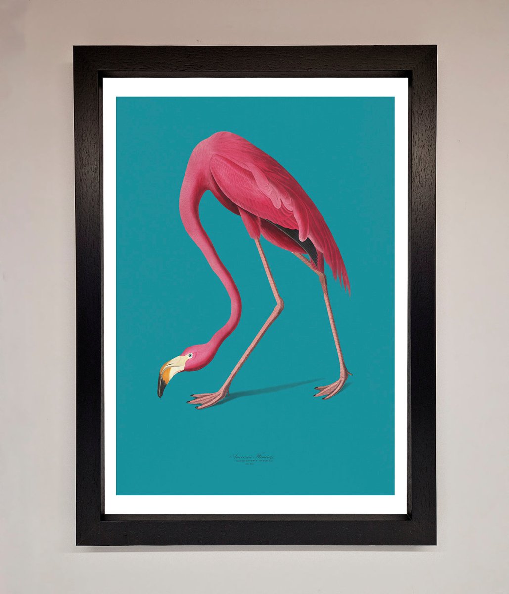 Flamingo Walks Blue Framed Print-1
