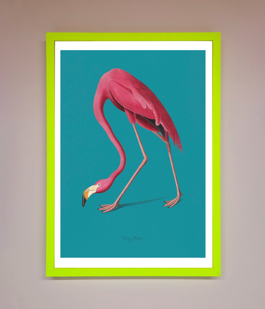 Flamingo Walks Blue Framed Print-12