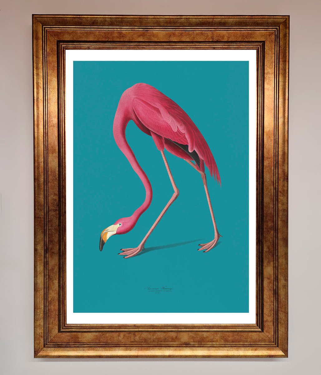 Flamingo Walks Blue Framed Print-7