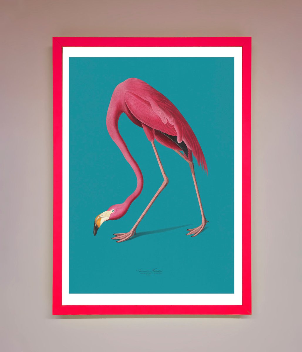Flamingo Walks Blue Framed Print-13