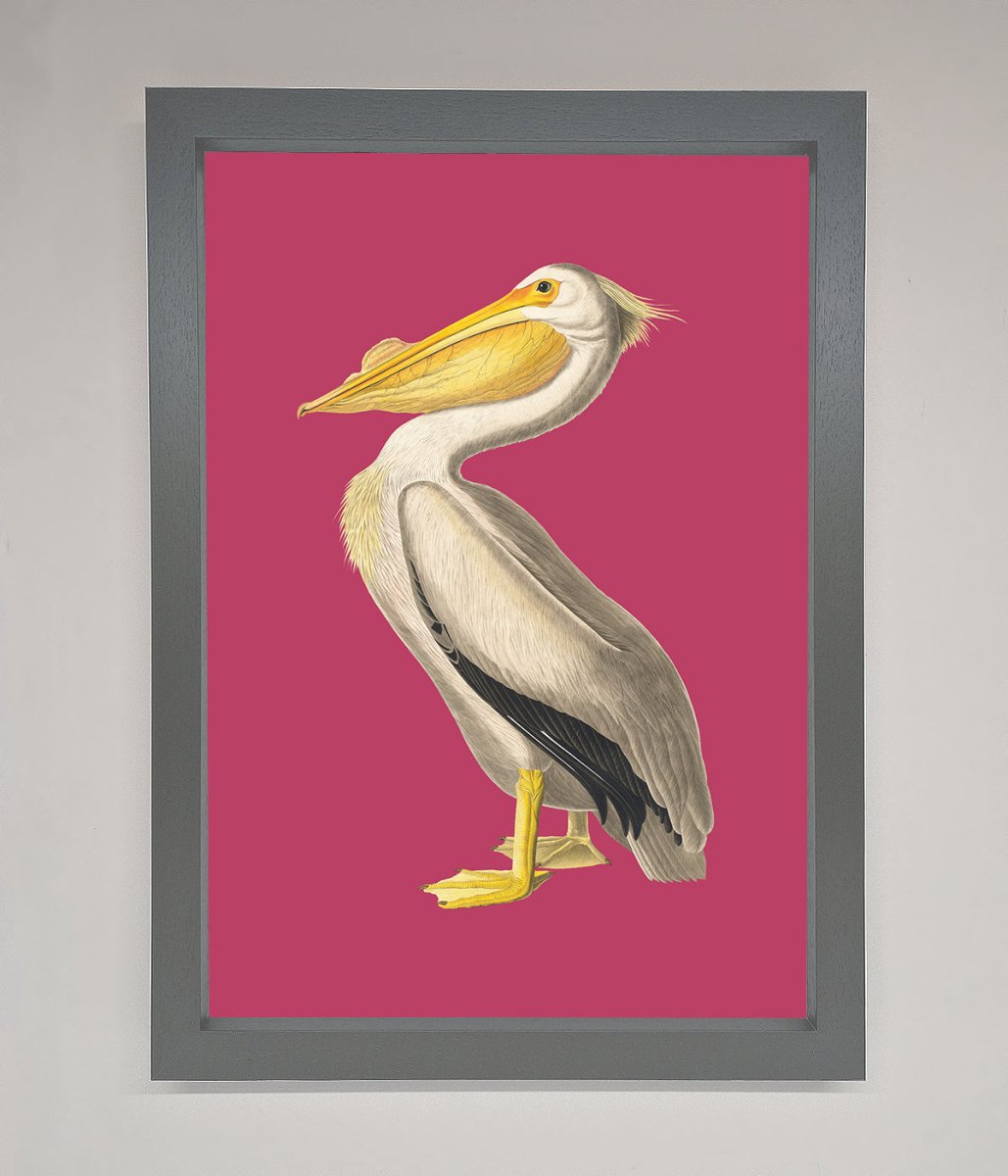 Pelican On Pink Framed Poster-4