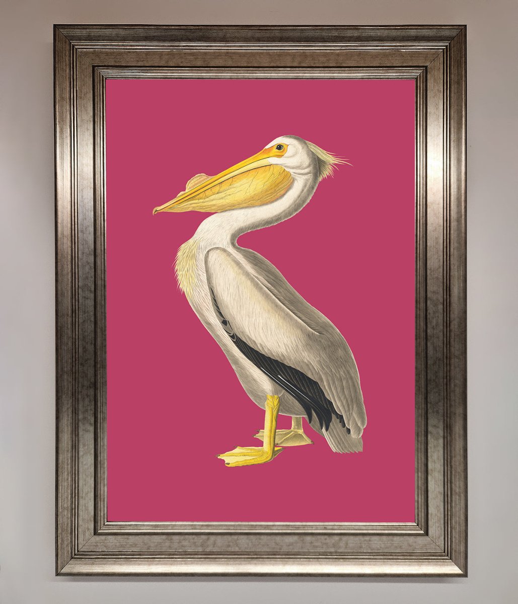 Pelican On Pink Framed Poster-5