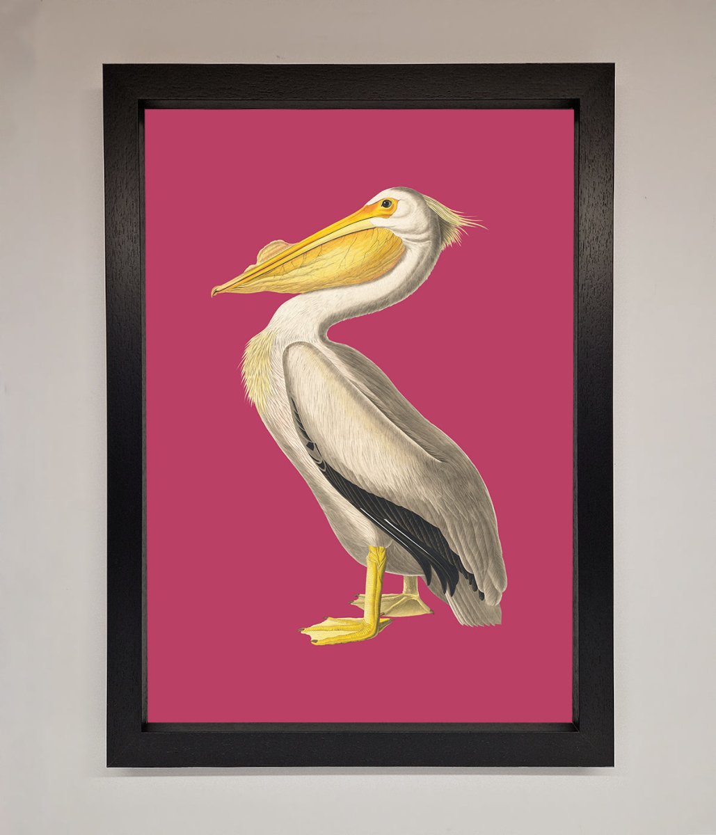 Pelican On Pink Framed Poster-1