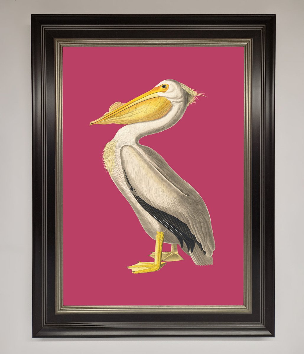 Pelican On Pink Framed Poster-7