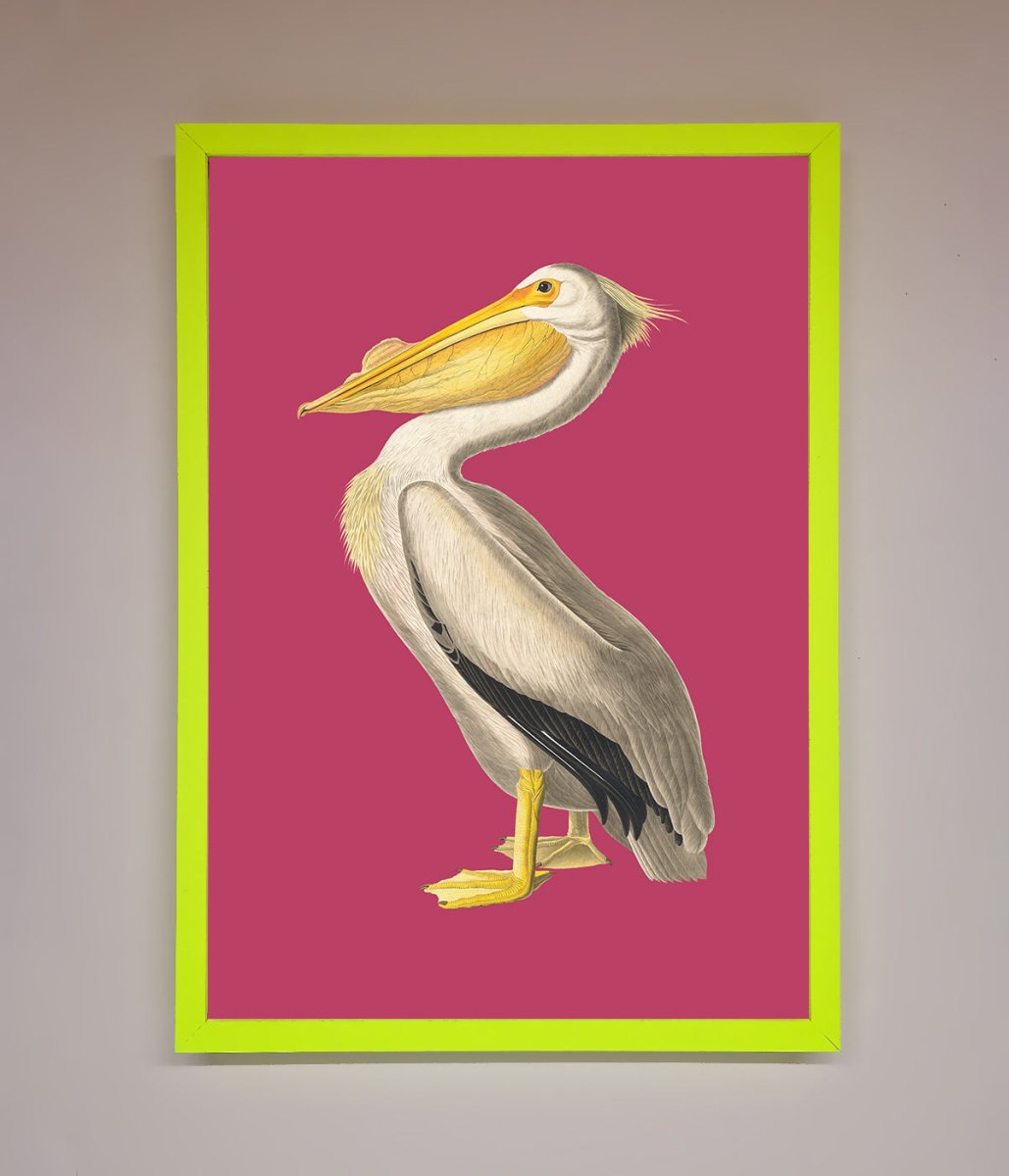 Pelican On Pink Framed Poster-12