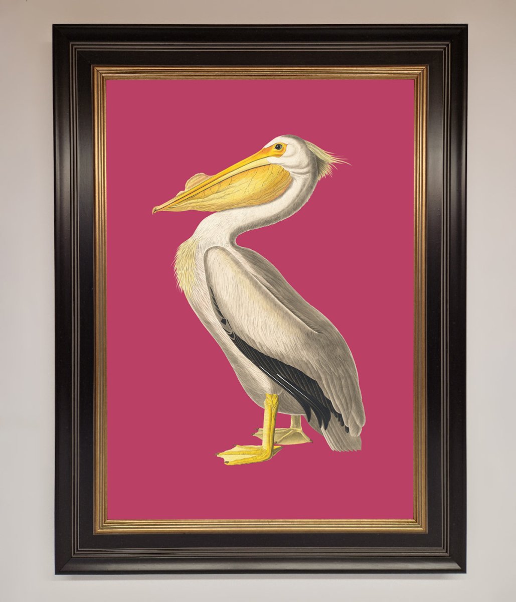 Pelican On Pink Framed Poster-8
