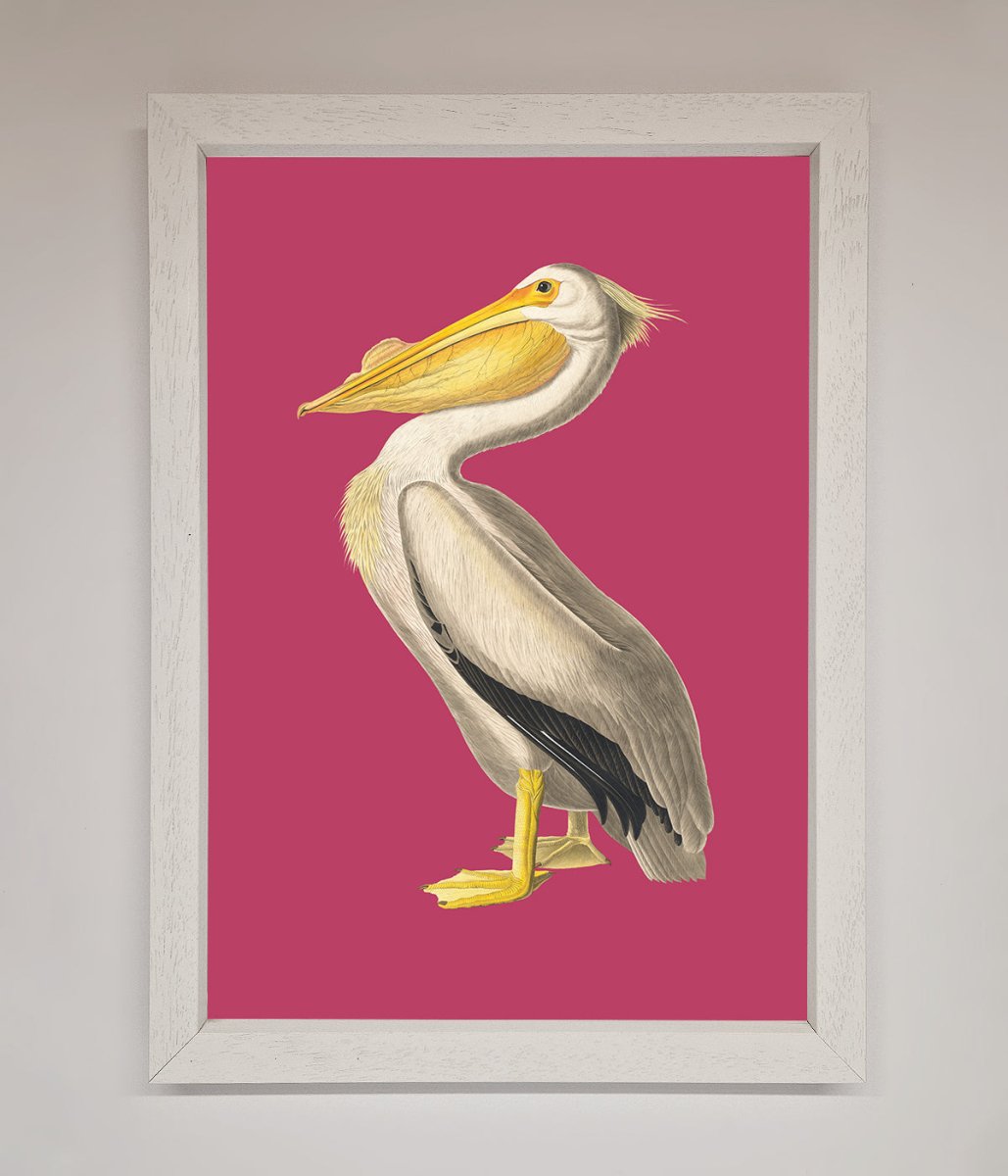 Pelican On Pink Framed Poster-2