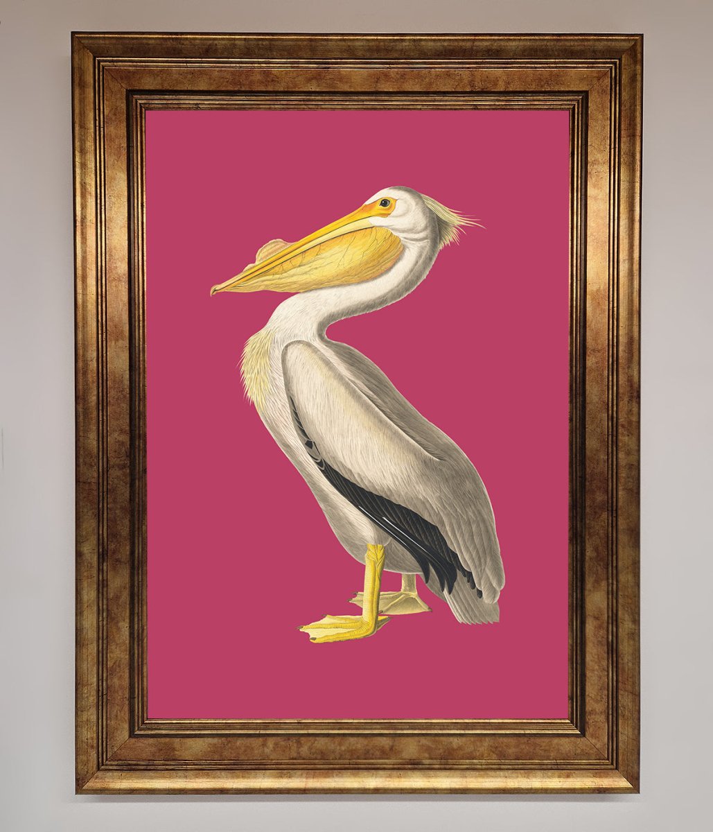 Pelican On Pink Framed Poster-6