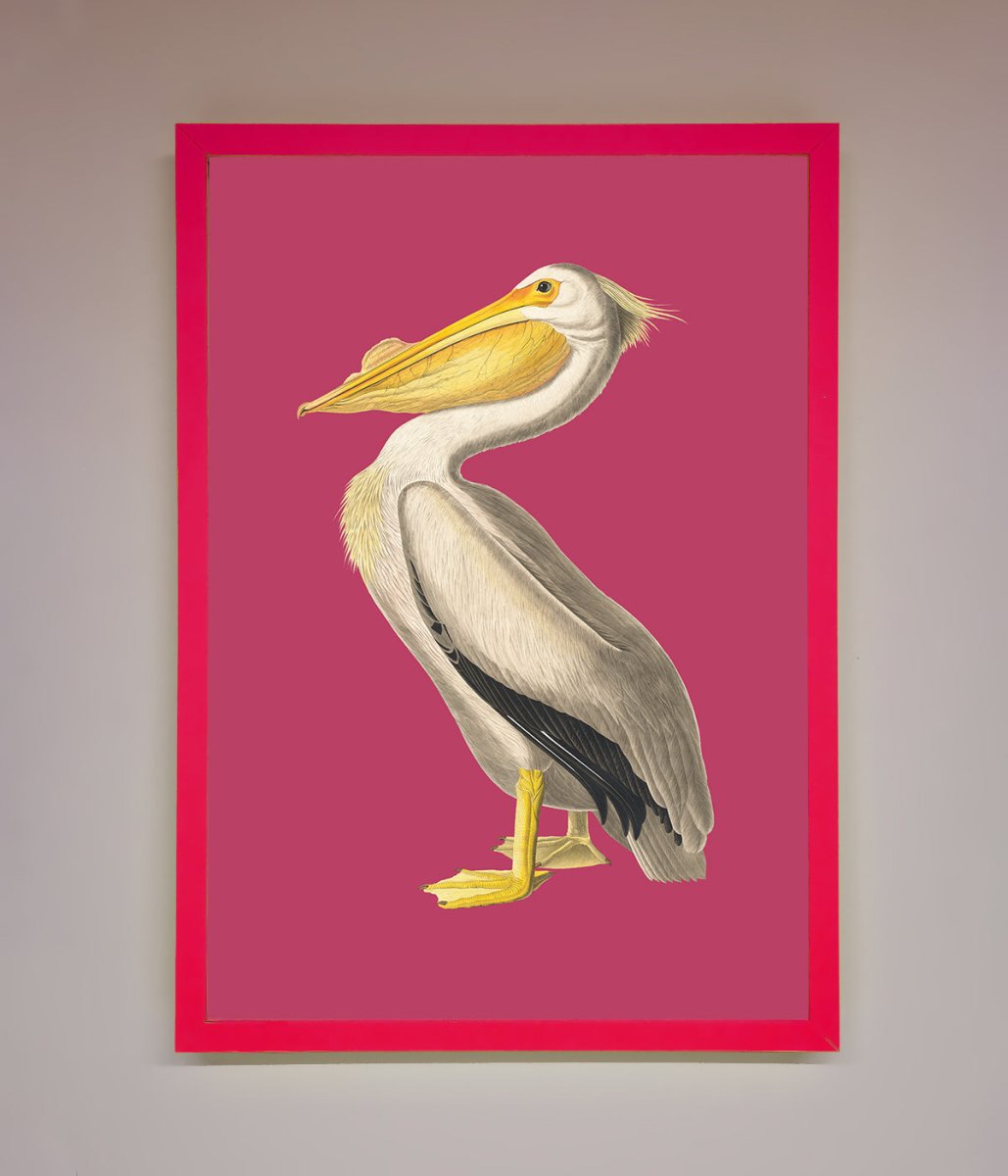 Pelican On Pink Framed Poster-13
