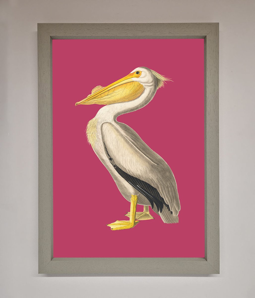 Pelican On Pink Framed Poster-3