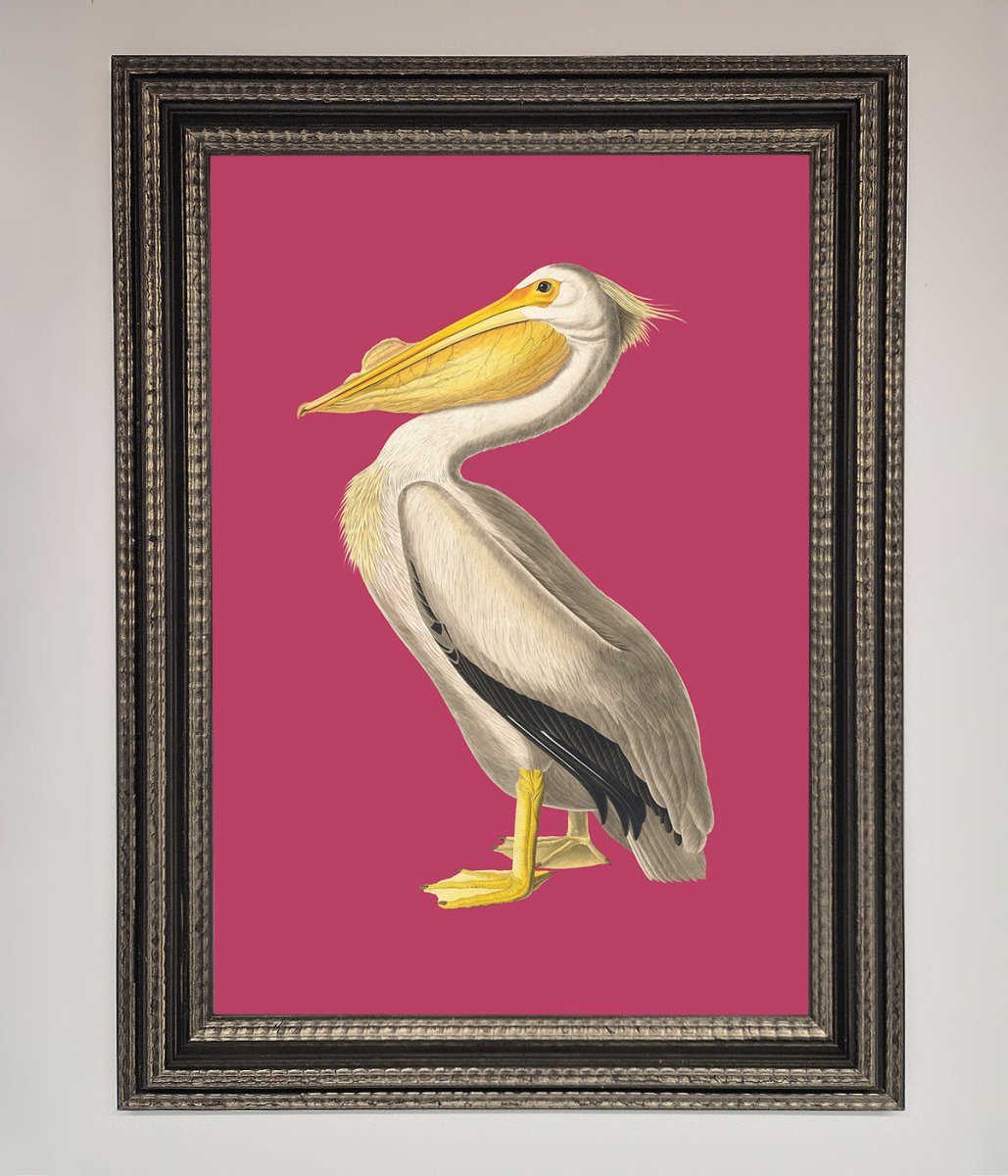 Pelican On Pink Framed Poster-17