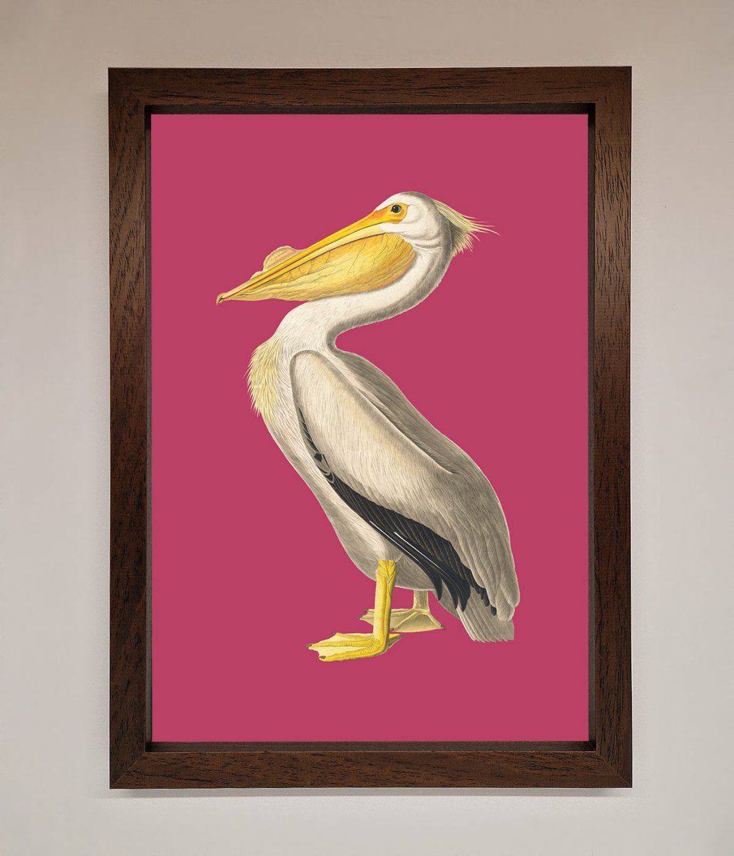 Pelican On Pink Framed Poster-9