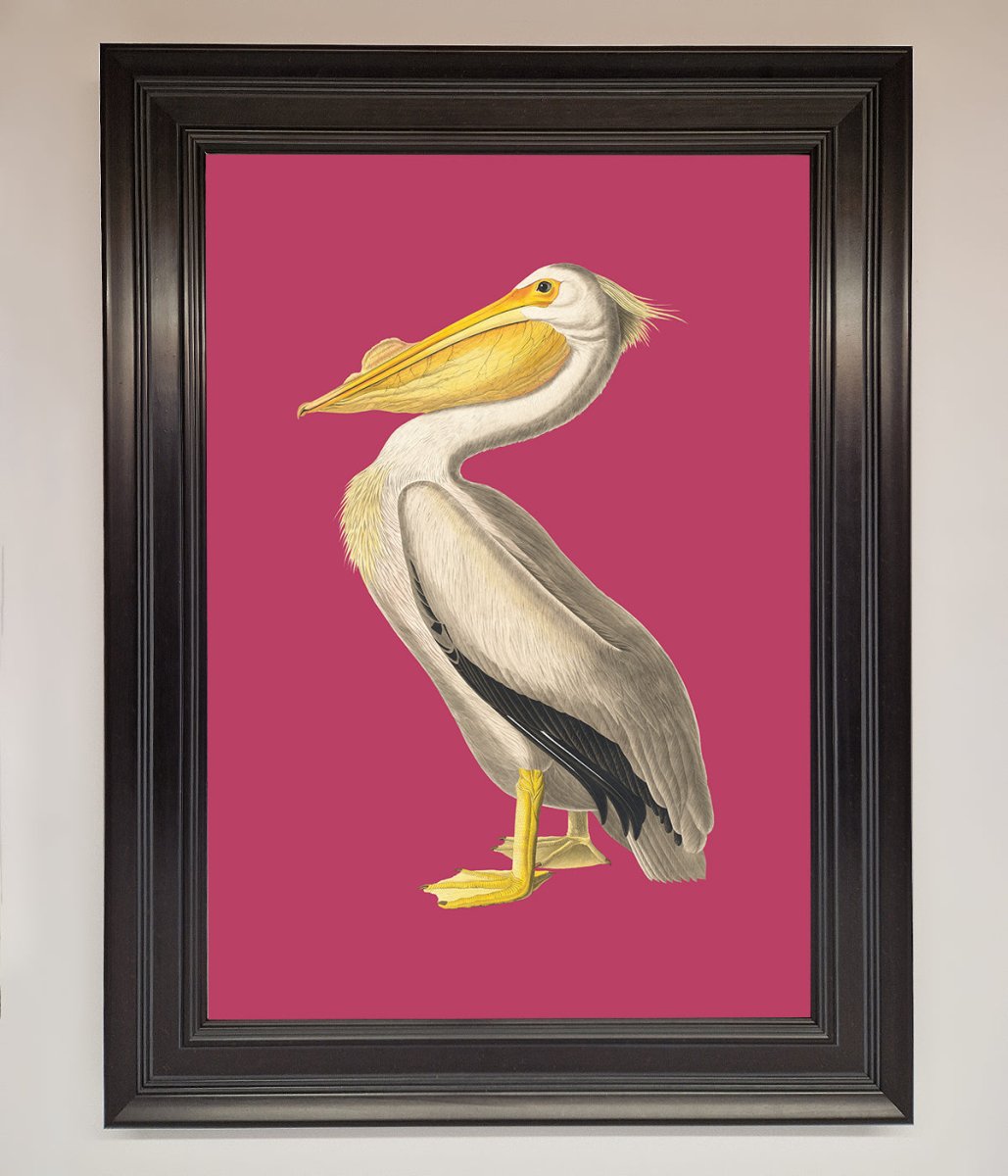 Pelican On Pink Framed Poster-0