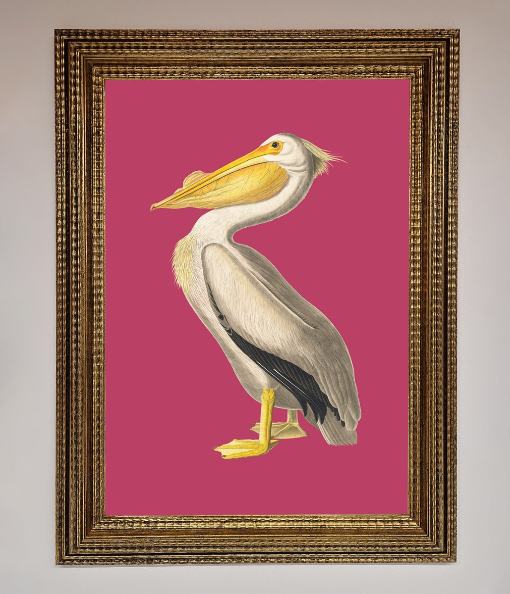 Pelican On Pink Framed Poster-15