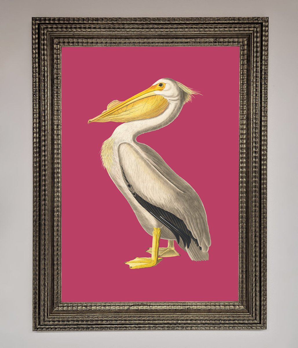 Pelican On Pink Framed Poster-16