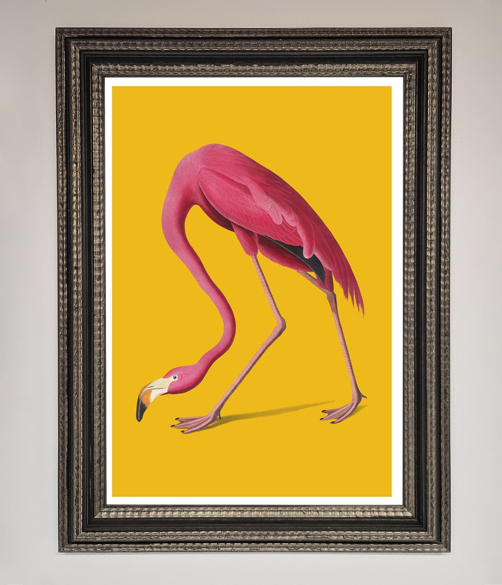 Pink Flamingo On Yellow Framed Print-17