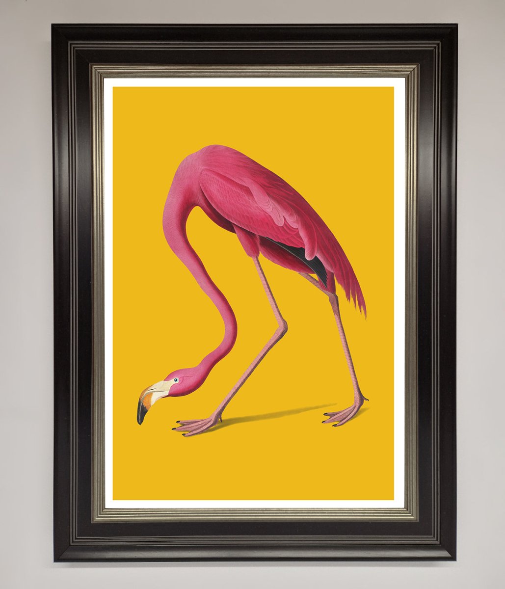 Pink Flamingo On Yellow Framed Print-8