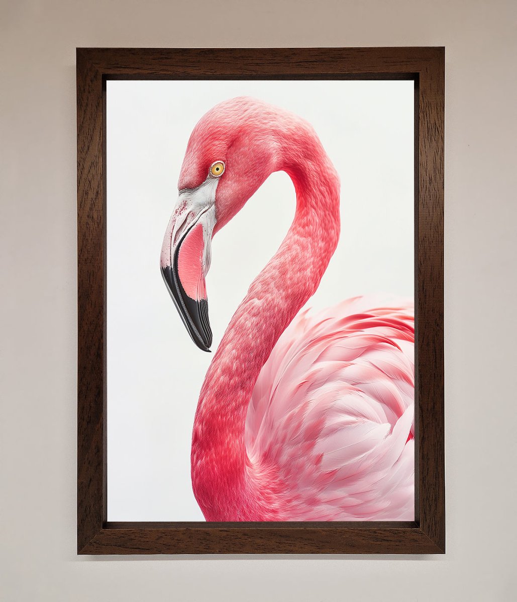 Pink Flamingo Stare Framed Print-4