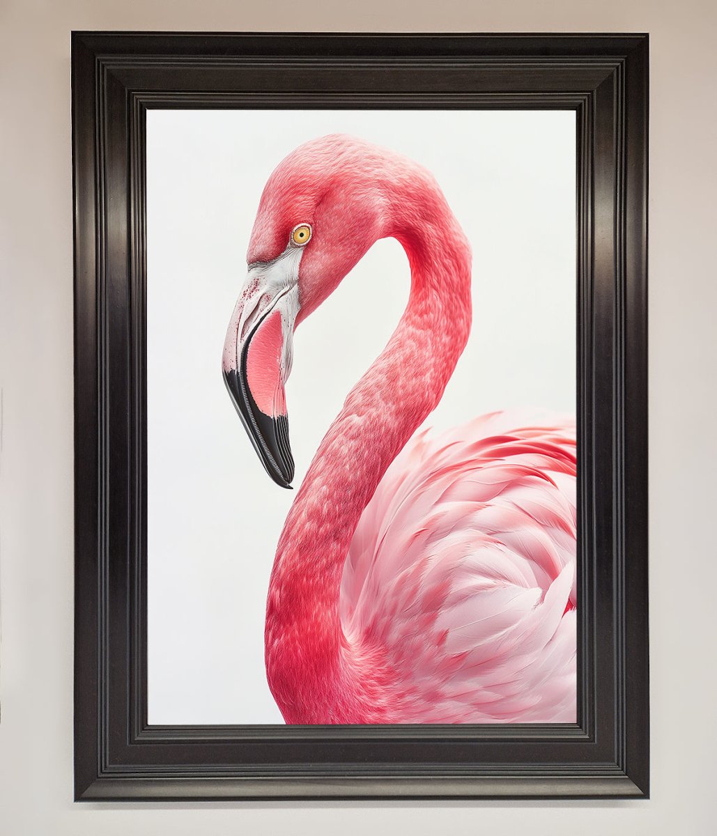 Pink Flamingo Stare Framed Print-6