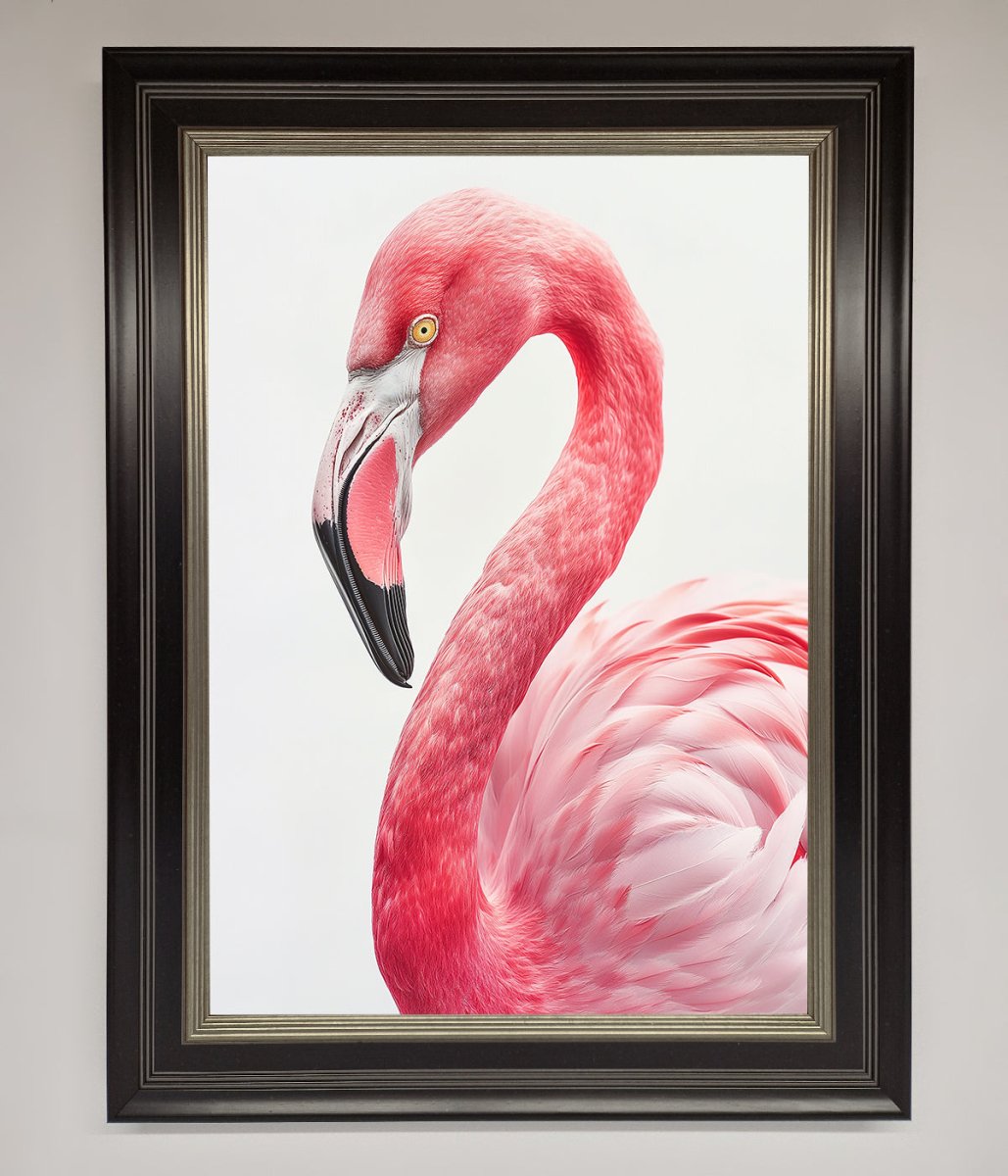 Pink Flamingo Stare Framed Print-8