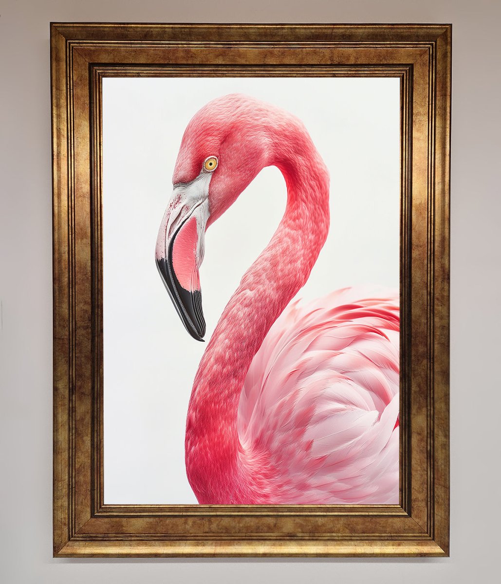 Pink Flamingo Stare Framed Print-7