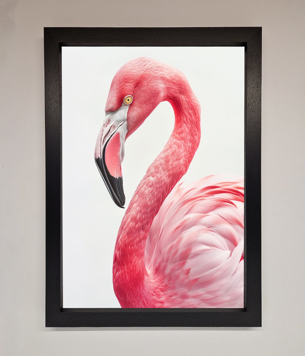 Pink Flamingo Stare Framed Print-1