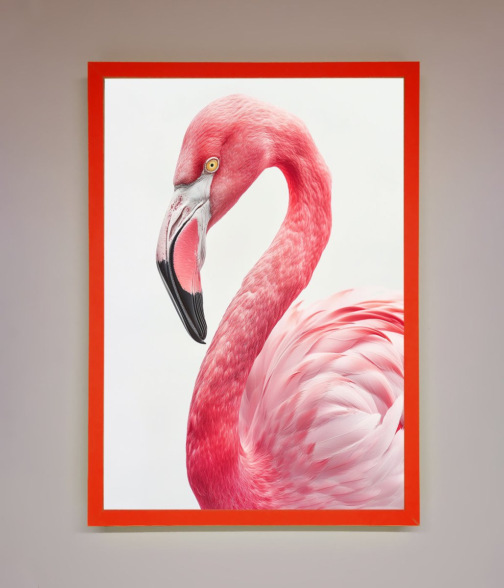 Pink Flamingo Stare Framed Print-14