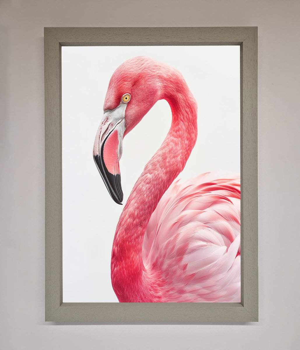 Pink Flamingo Stare Framed Print-3