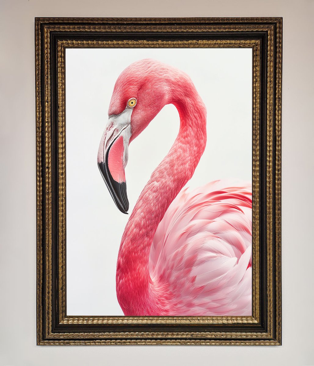 Pink Flamingo Stare Framed Print-18