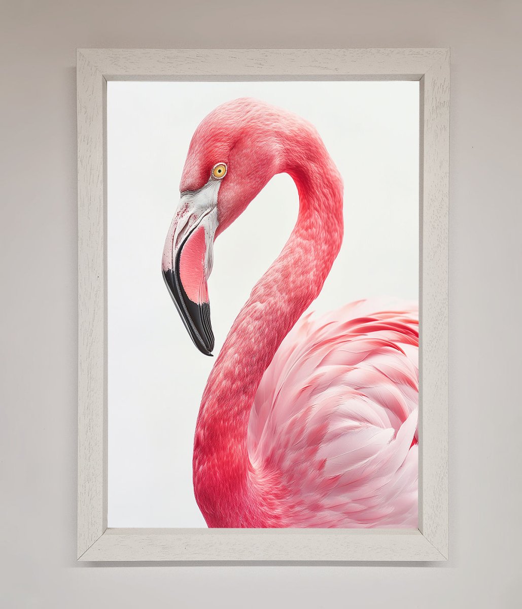 Pink Flamingo Stare Framed Print-2
