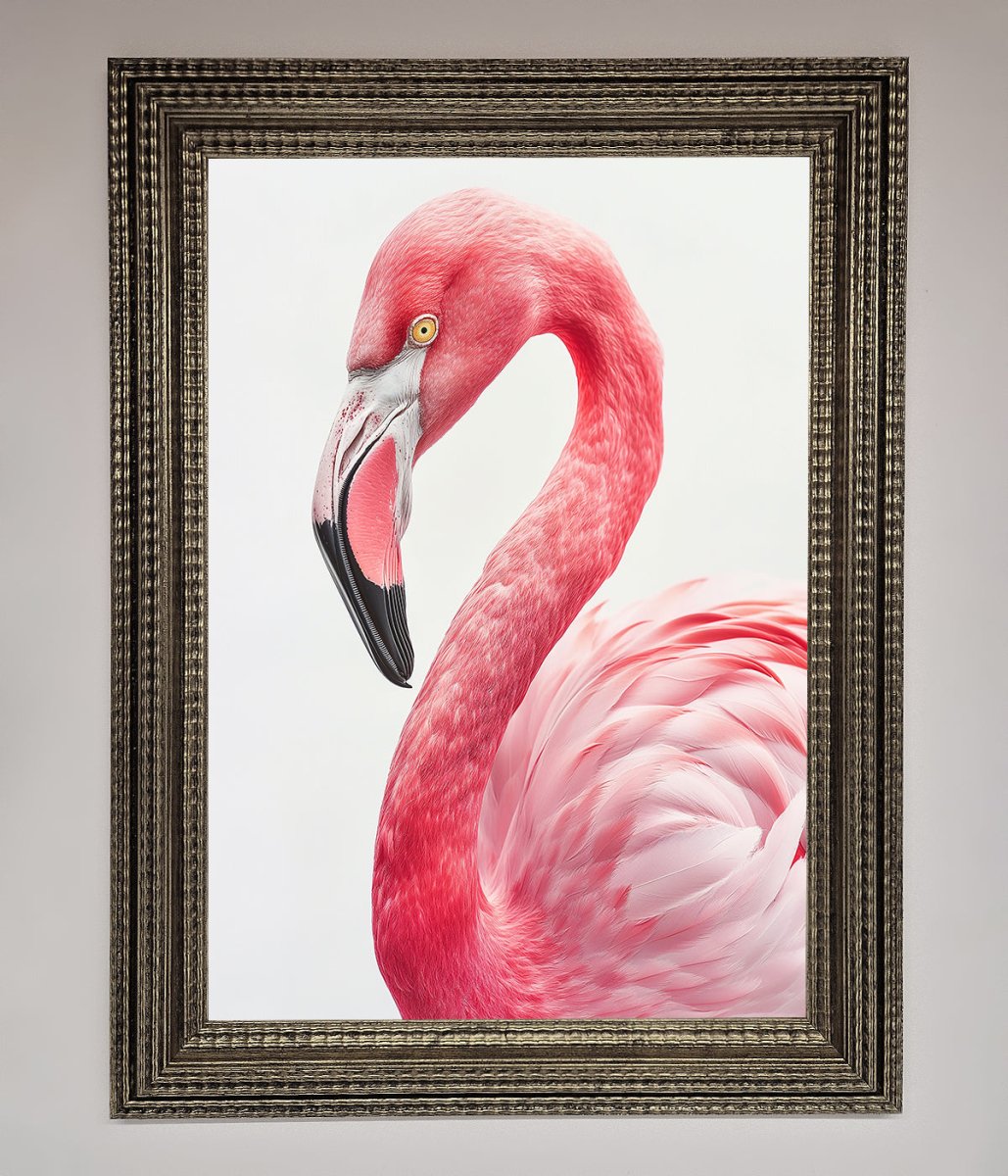 Pink Flamingo Stare Framed Print-16