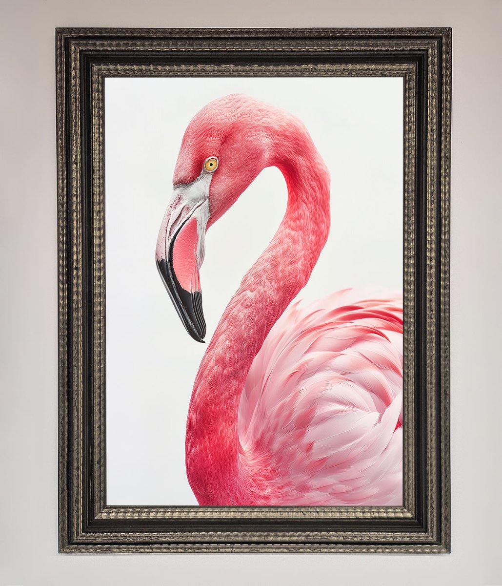 Pink Flamingo Stare Framed Print-17