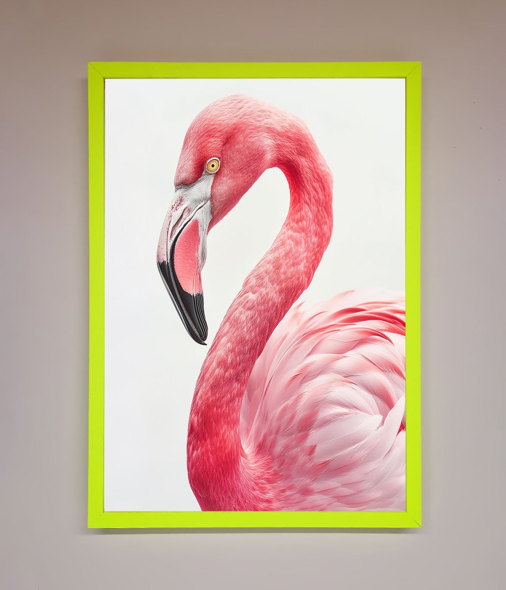 Pink Flamingo Stare Framed Print-12